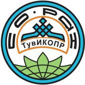 лого-изображение